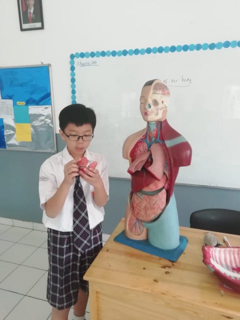 Grade 7 “Parts of Human Body”