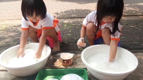 Washing Plate