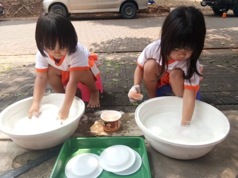 Washing Plate