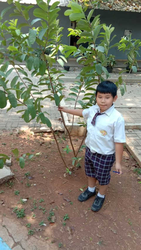 Grade 3 “Observasi Flora Sebagai Salah Satu Ciptaan Tuhan”