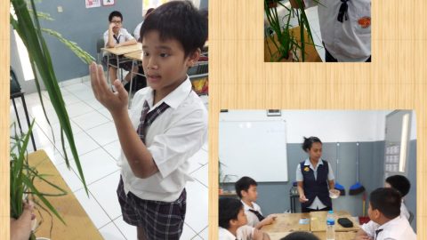 Grade 5 “Mengenal pertanian dan proses tanaman padi menjadi nasi yang dapat dikonsumsi”